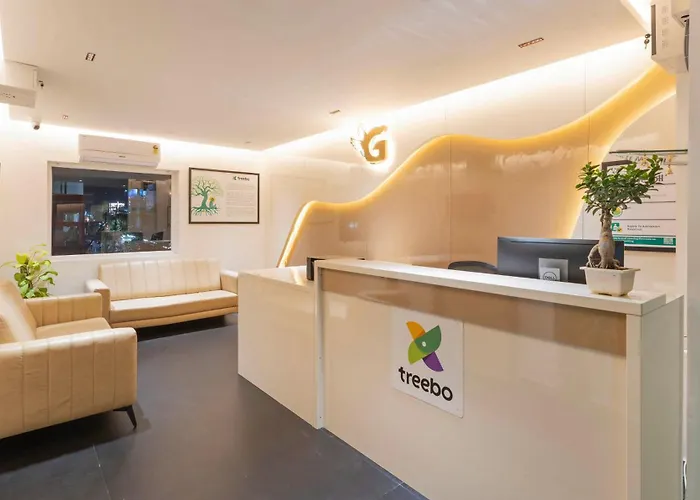 Treebo Global Orchid